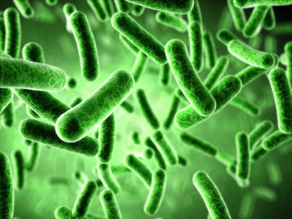 Green microorganisms might be growing in your HVAC system.