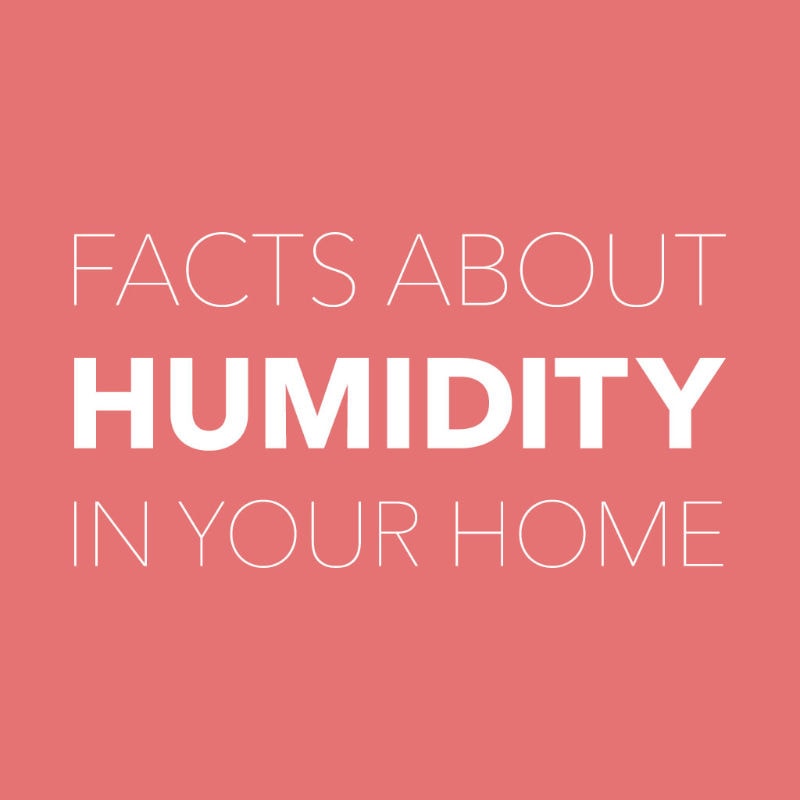 Facts About Humidity In Your Home.