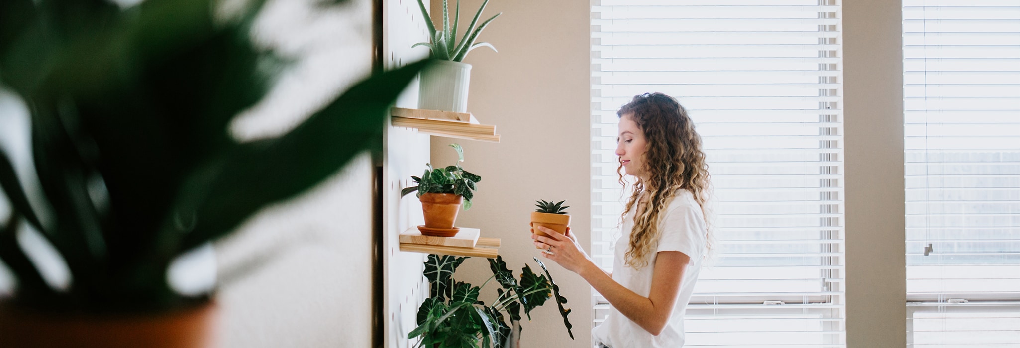 Indoor Air Quality Service.