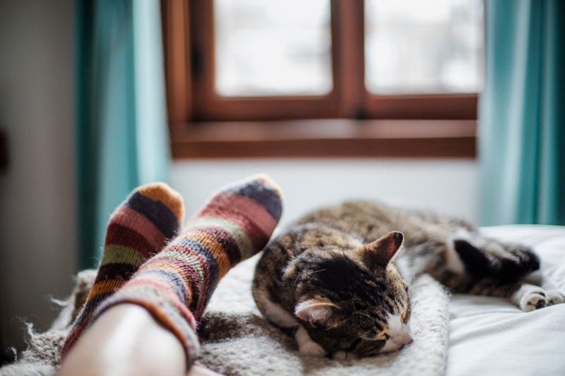 When Should You Replace Your Furnace? - Woman Laying with Her Cat.