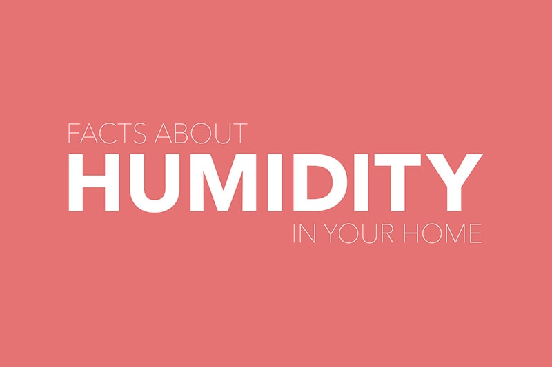 Facts about humidity in your home.