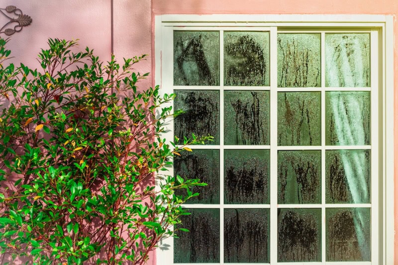 Don't Let Your Home Sweat: A Texas Guide to Humidity Control. Door with condensation