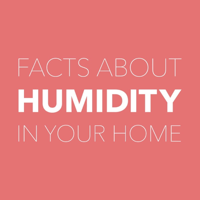 Facts About Humidity In Your Home.
